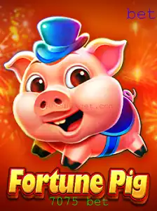 FortunePig: Mergulhe no Universo de Apostas com 7075 Bet