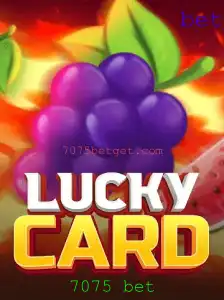 Descubra o Fascinante Mundo do LuckyCard: Um Guia Completo